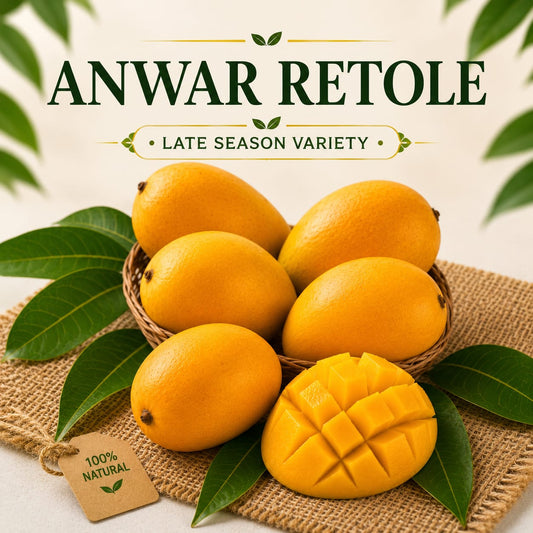 Anwar Ratol Mango – Late-Season Variety- Sweet & Sour-Aromatic