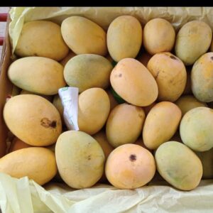 WhatsApp Image 2025 06 16 at 6.00.30 PM 2 e1750095114357