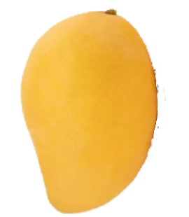 mango (3)